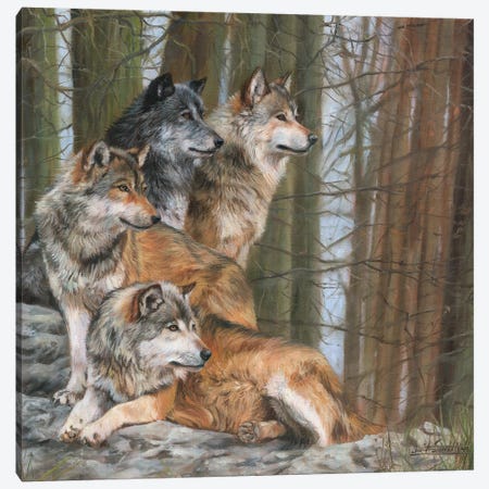 Four Wolves Canvas Print #STG36} by David Stribbling Canvas Artwork