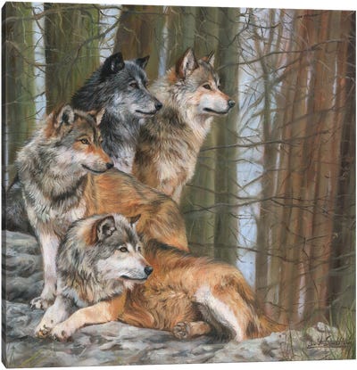 Four Wolves Canvas Art Print - David Stribbling