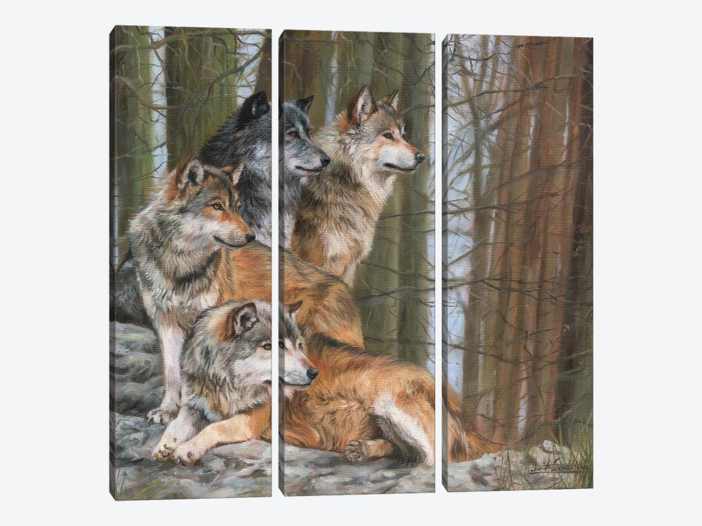 Four Wolves by David Stribbling 3-piece Canvas Artwork