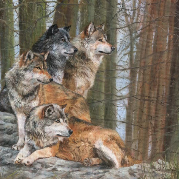 Wolves: Four Wolves by David Stribbling