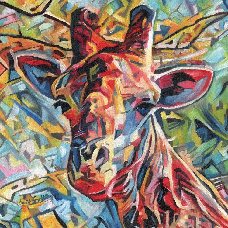 Giraffe Of Many Colours