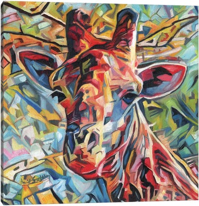 Giraffe Of Many Colours Canvas Art Print - David Stribbling