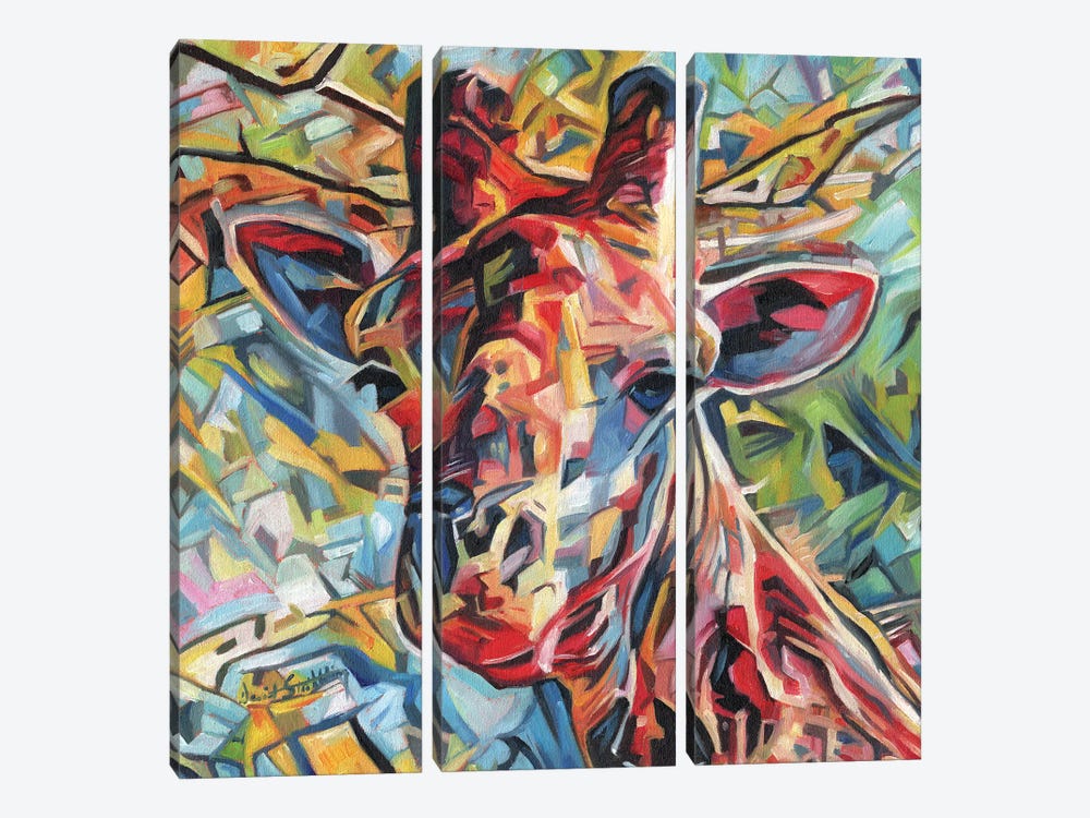 Giraffe Of Many Colours by David Stribbling 3-piece Canvas Art Print