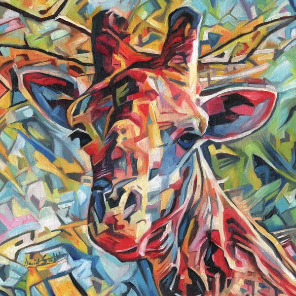 Giraffe Of Many Colours