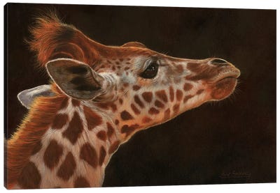 Giraffe Portrait I Canvas Art Print - Giraffe Art