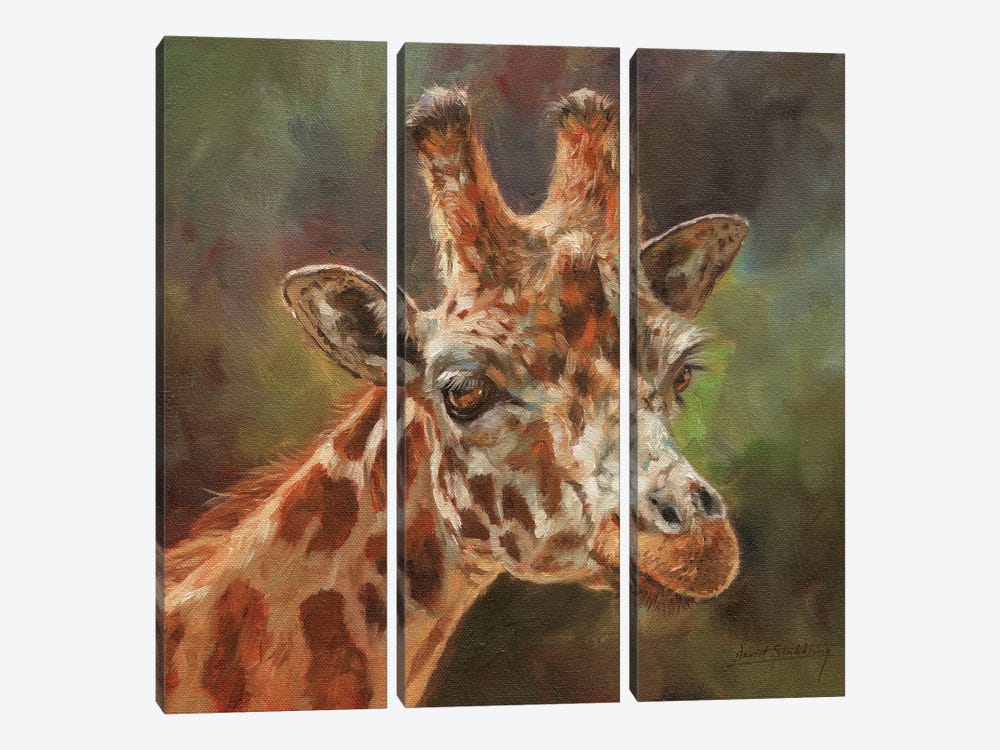 Giraffe Portrait II 3-piece Canvas Art Print