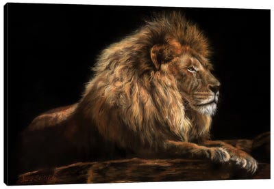 Golden Lion Canvas Art Print - Contemporary Fine Art