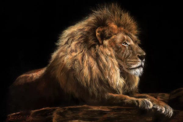 Golden Hour Animals: Golden Lion by David Stribbling