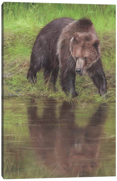 Grizzly Bear At Water's Edge Canvas Art Print - David Stribbling