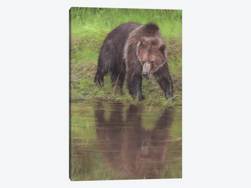 Grizzly Bear At Water's Edge by David Stribbling 1-piece Canvas Artwork