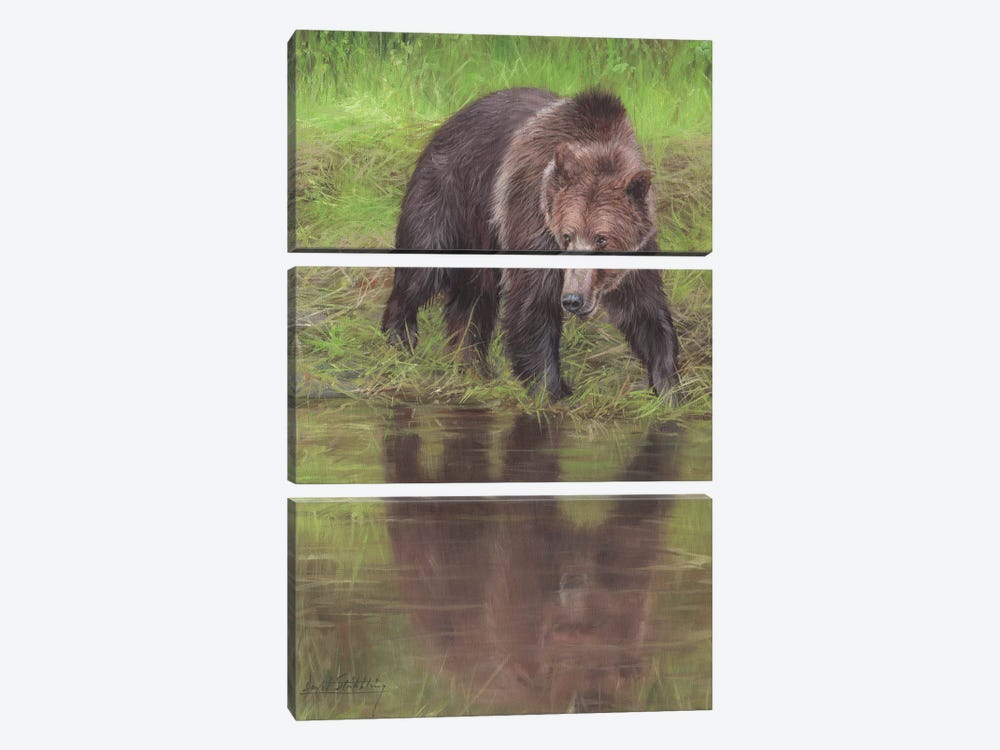 Grizzly Bear At Water's Edge by David Stribbling 3-piece Canvas Art