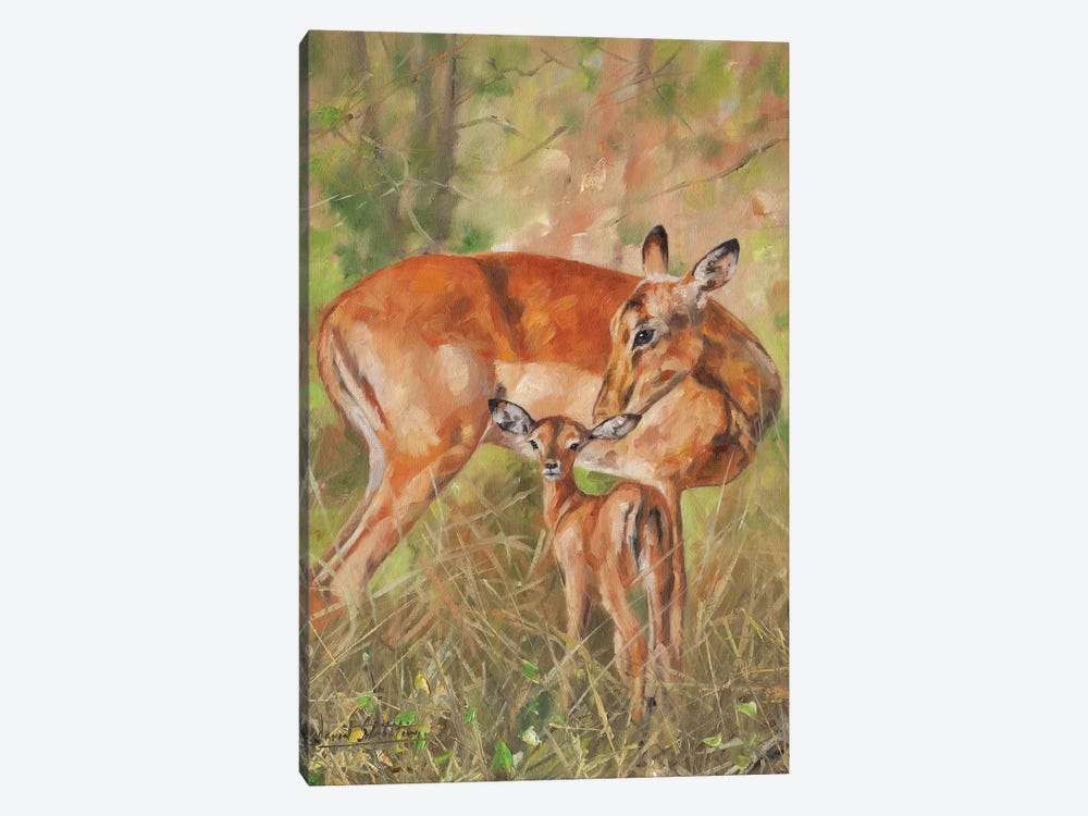 Impala And Young by David Stribbling 1-piece Canvas Art