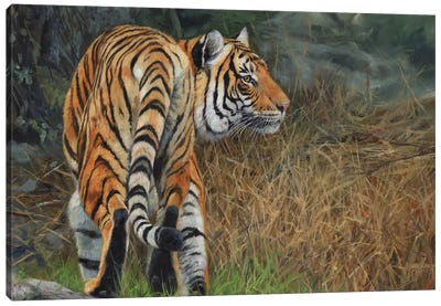 Indo Chinese Tiger Canvas Art Print - Photorealism Art