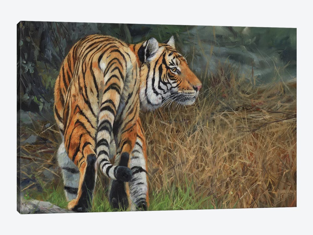 Indo Chinese Tiger by David Stribbling 1-piece Canvas Print