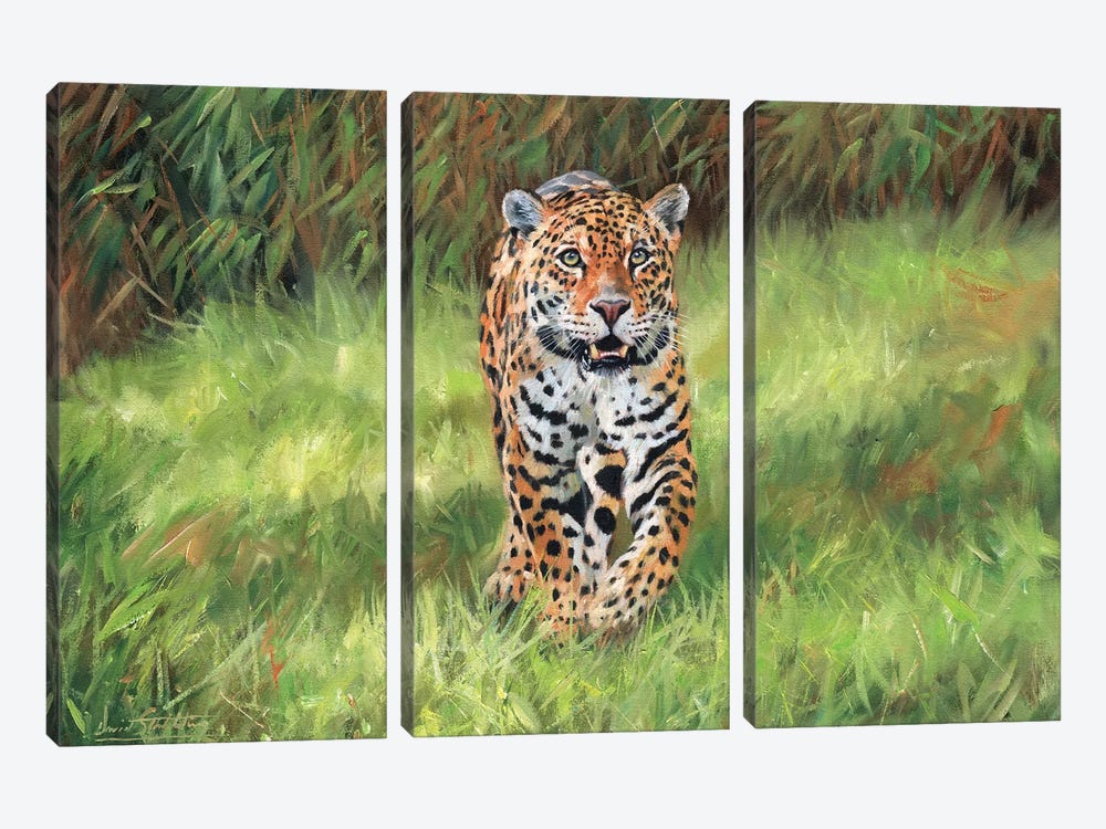 Jaguar Big Cat I by David Stribbling 3-piece Canvas Art