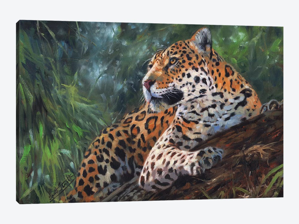 Jaguar In Tree by David Stribbling 1-piece Canvas Wall Art