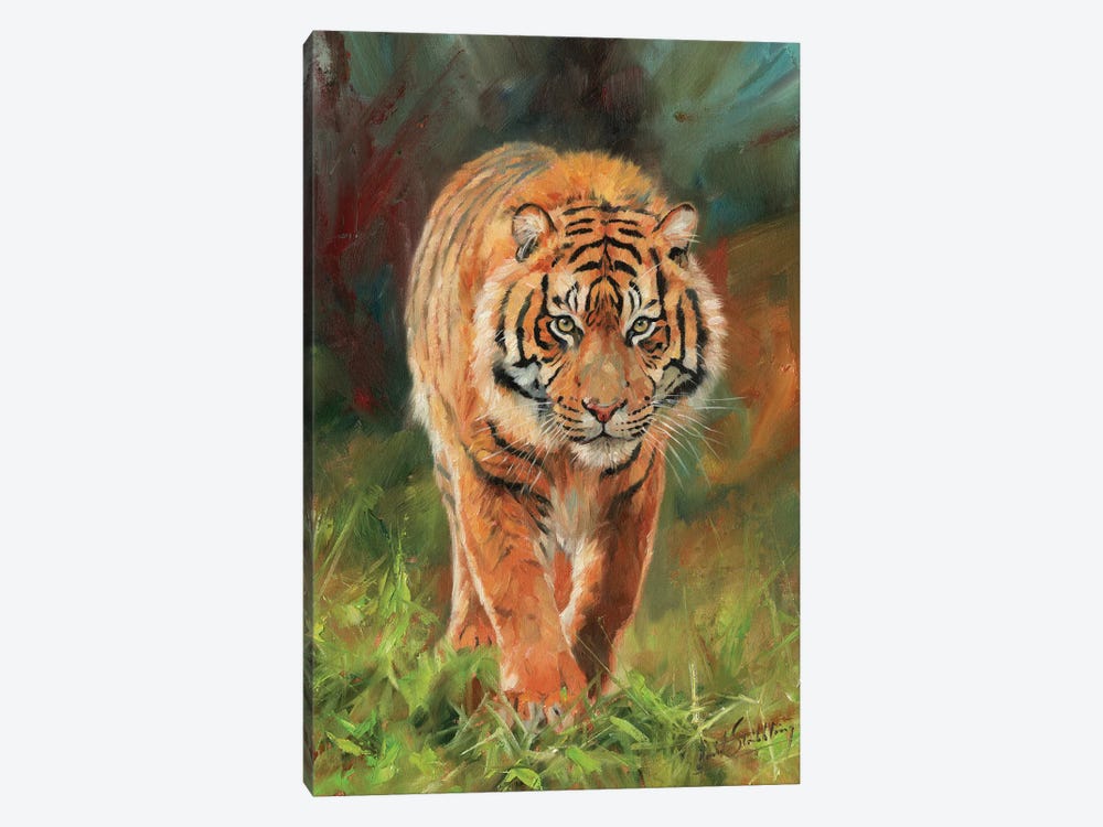 Amur Tiger by David Stribbling 1-piece Canvas Artwork