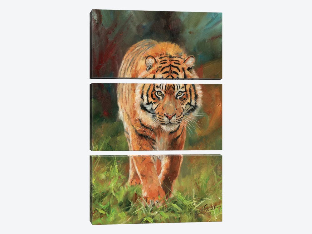 Amur Tiger by David Stribbling 3-piece Canvas Art
