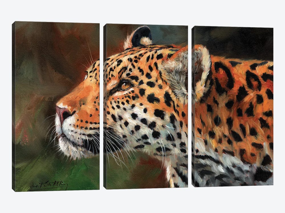 Jaguar Look by David Stribbling 3-piece Canvas Wall Art