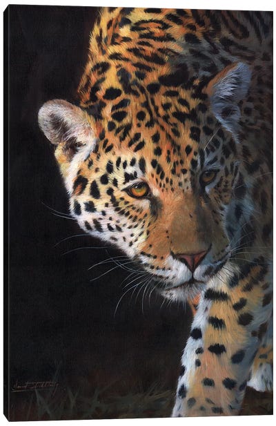 Jaguar Portrait Canvas Art Print - Jaguar Art