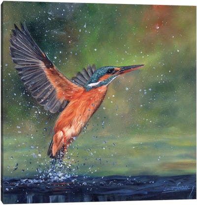 Kingfisher Canvas Art Print - Photorealism Art