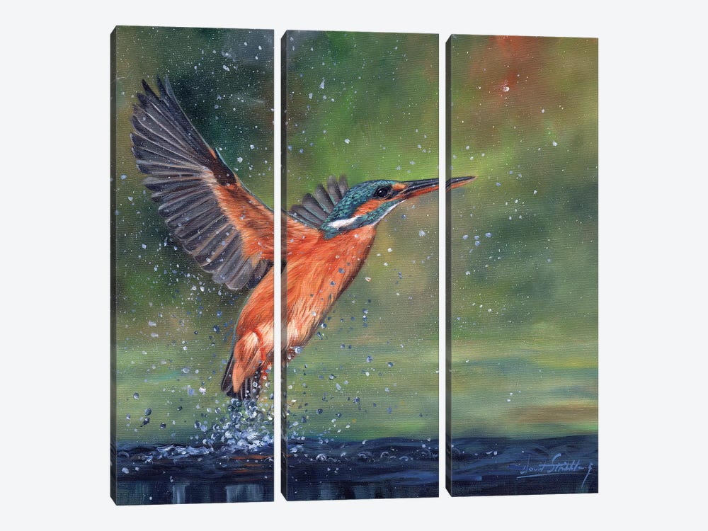 Kingfisher by David Stribbling 3-piece Canvas Wall Art