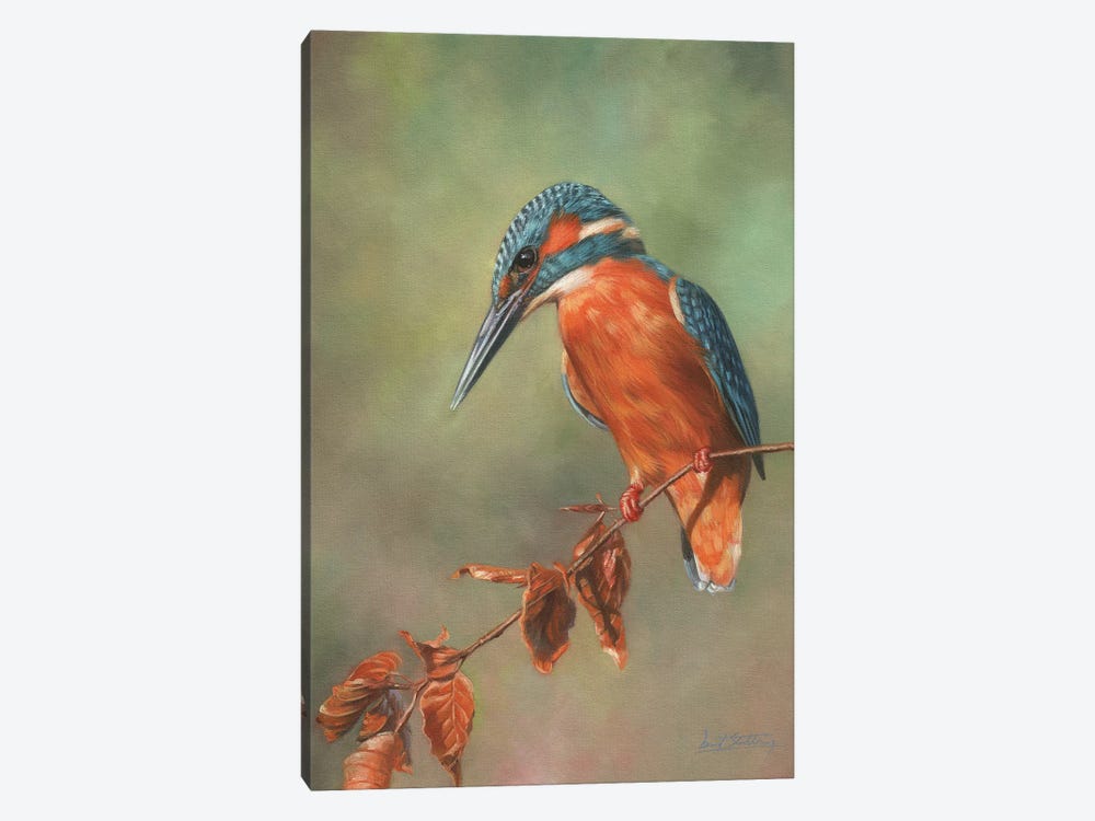 Kingfisher Perched by David Stribbling 1-piece Art Print