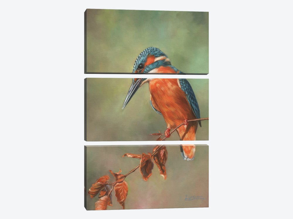 Kingfisher Perched 3-piece Canvas Art Print