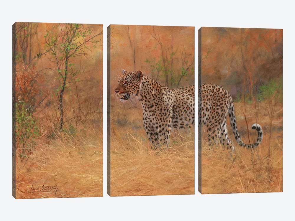 Leopard In Forest 3-piece Canvas Art Print