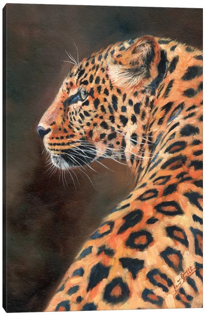 Leopard Profile Canvas Art Print - David Stribbling