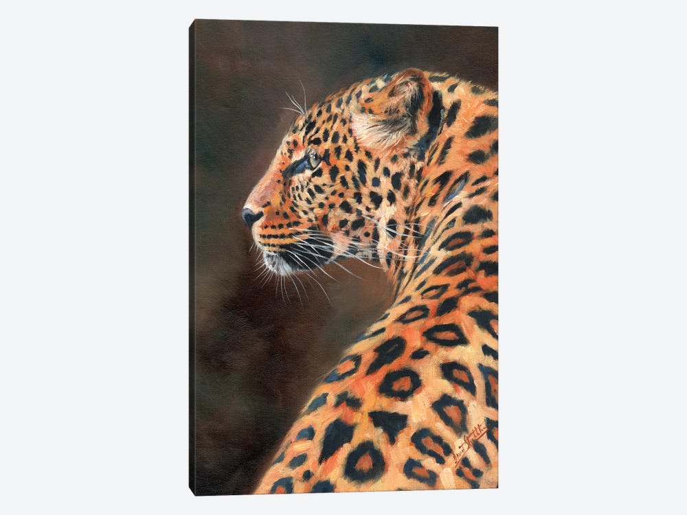 Leopard Profile by David Stribbling 1-piece Canvas Artwork