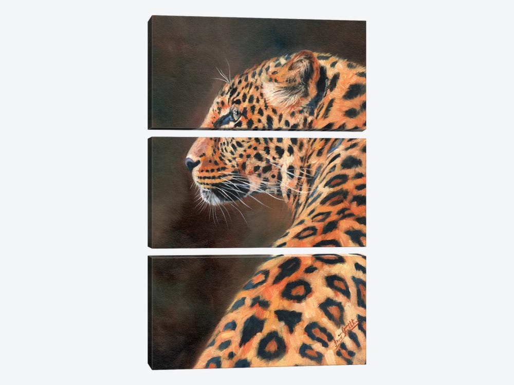 Leopard Profile by David Stribbling 3-piece Canvas Wall Art