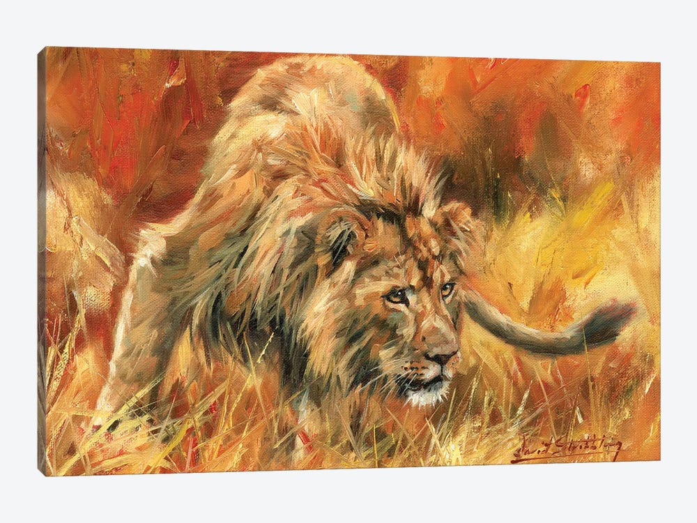 Lion Alert by David Stribbling 1-piece Canvas Print