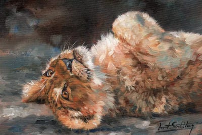 Lion Cub On Back by David Stribbling art print