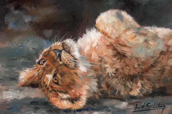 David Stribbling: Lion Cub On Back by David Stribbling