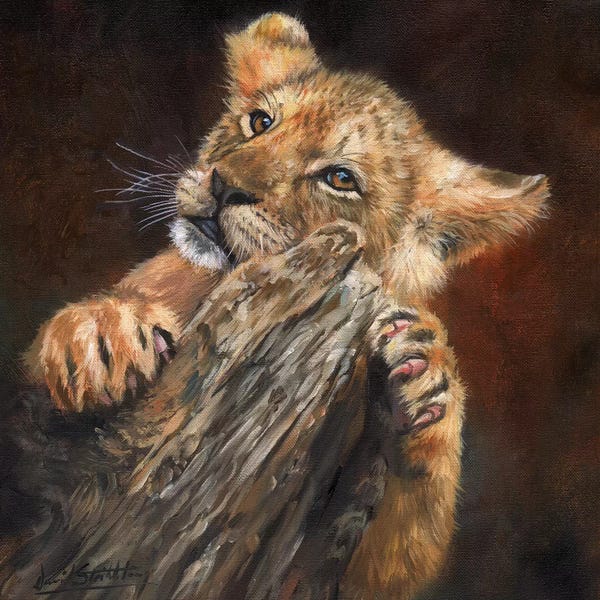 Baby Animals: Lion Cub Tree by David Stribbling