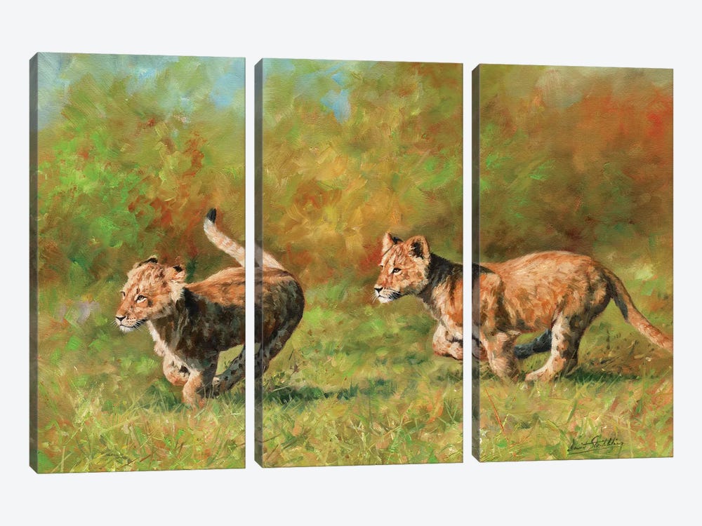 Lion Cubs Running by David Stribbling 3-piece Canvas Art