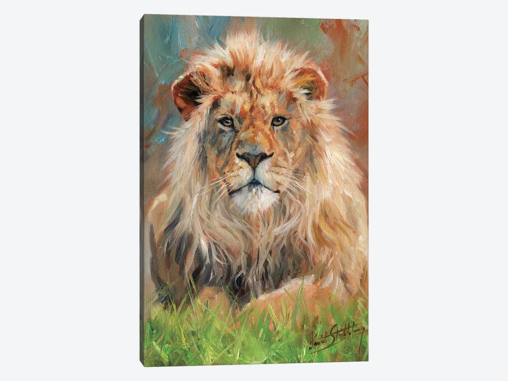 Lion Front by David Stribbling 1-piece Canvas Artwork