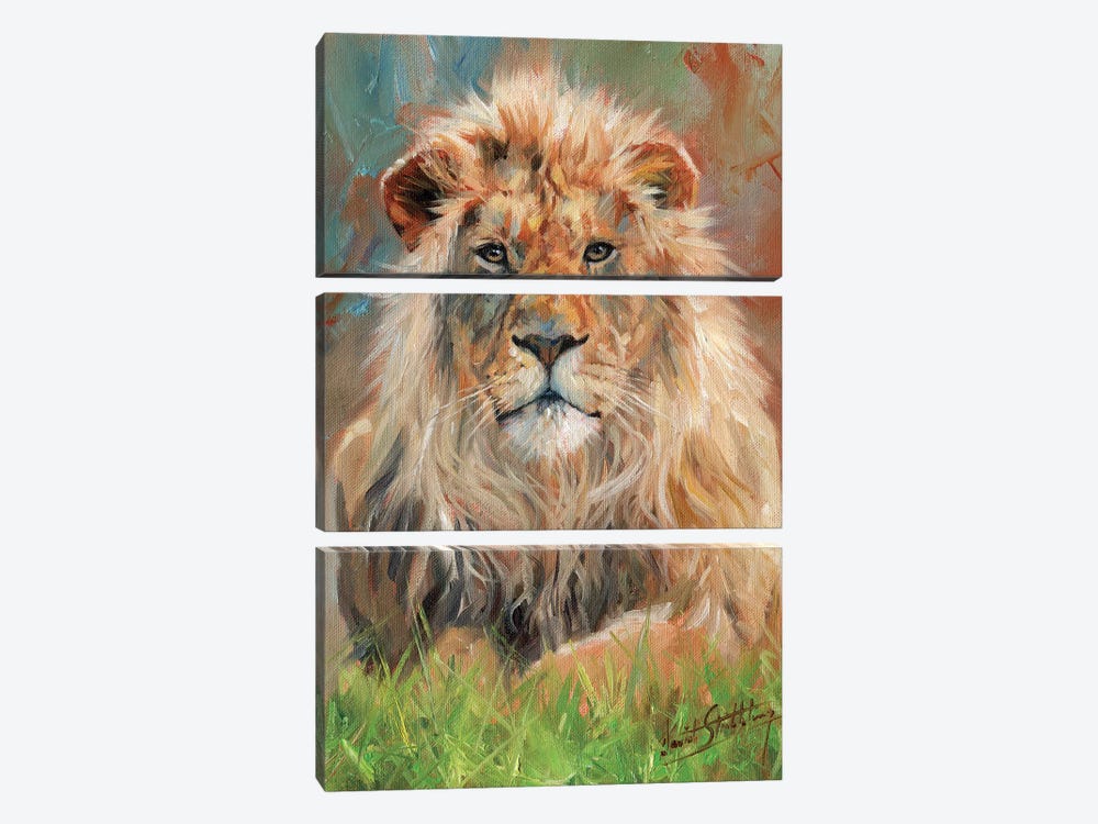 Lion Front by David Stribbling 3-piece Canvas Art