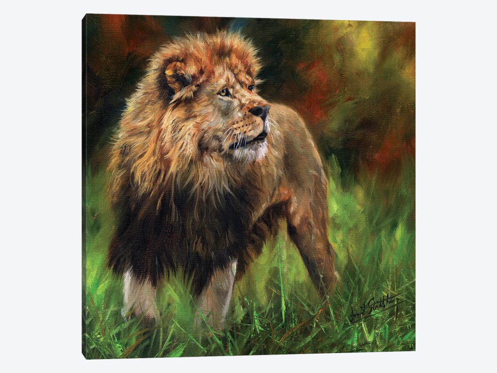 Lion Full Length by David Stribbling 1-piece Canvas Art