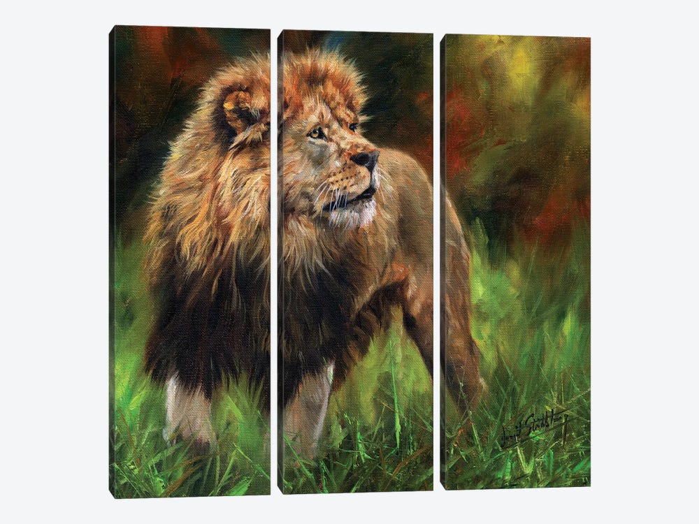Lion Full Length by David Stribbling 3-piece Canvas Art