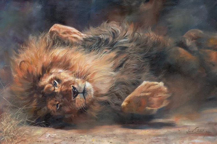 Lion Rockin' And Rollin'