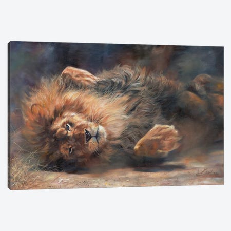 Lion Rockin' And Rollin' Canvas Print #STG69} by David Stribbling Canvas Wall Art