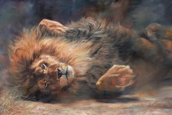 Fine Art Safari: Lion Rockin' And Rollin' by David Stribbling