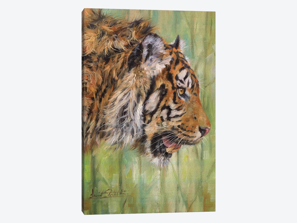 Amur Tiger Profile by David Stribbling 1-piece Canvas Art