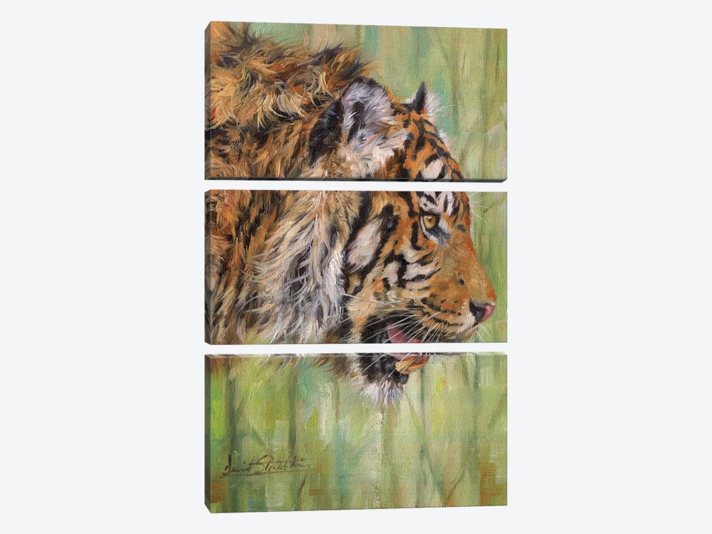 Amur Tiger Profile by David Stribbling 3-piece Canvas Artwork