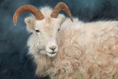 Mountain Goat I by David Stribbling art print