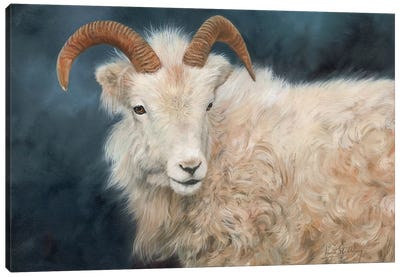 Mountain Goat I Canvas Art Print - David Stribbling