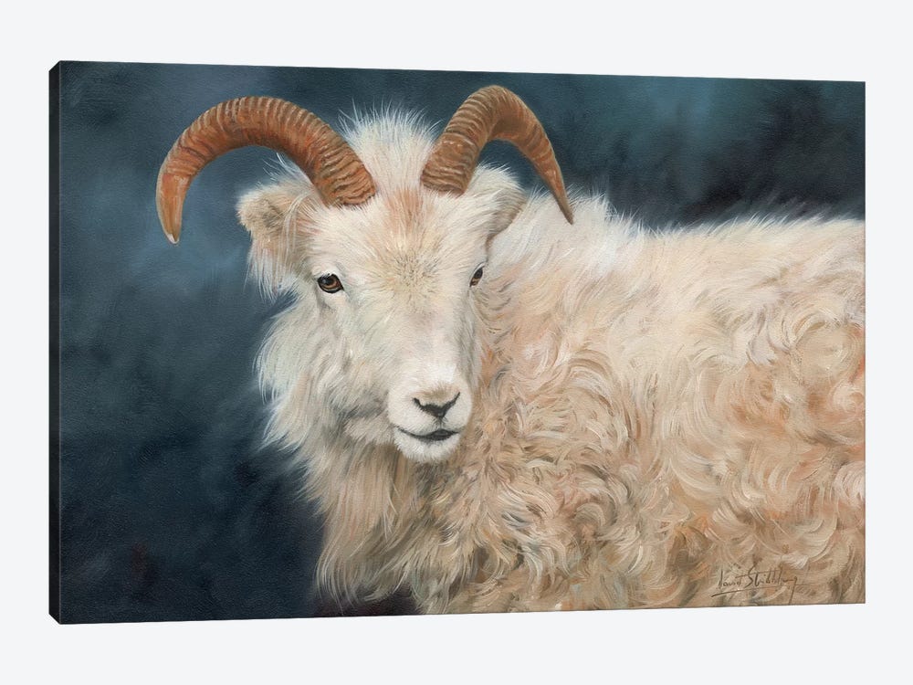 Mountain Goat I by David Stribbling 1-piece Canvas Print