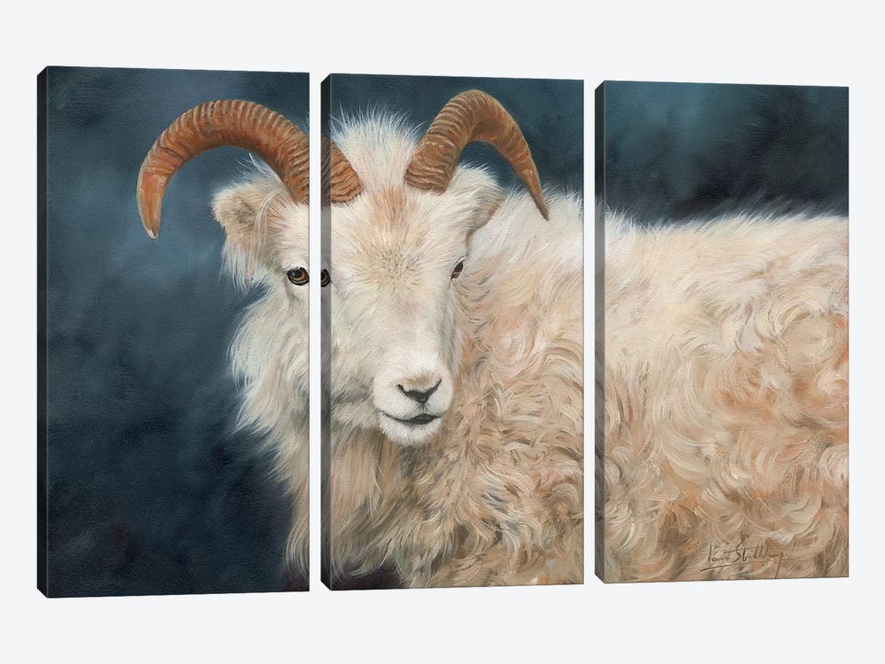 Mountain Goat I by David Stribbling 3-piece Canvas Art Print